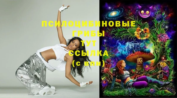 стаф Лихославль