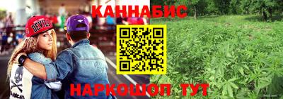 сатива Аргун