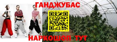 сатива Аргун