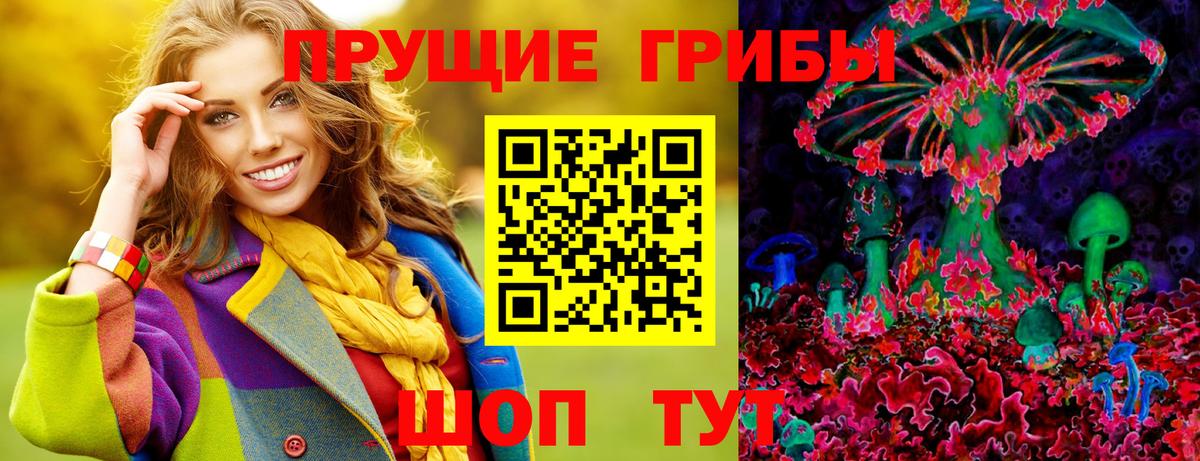 Галлюциногенные грибы мицелий  Вход с VPN  цена   Братск 