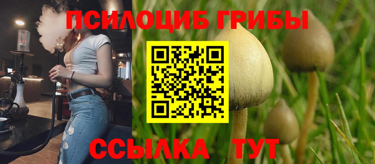 Псилоцибиновые грибы ЛСД Братск